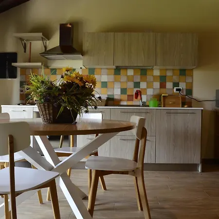 Ca Roer 4 Apartment *